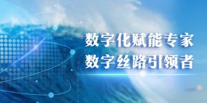 号码查询服务使用时需要注意哪些问题